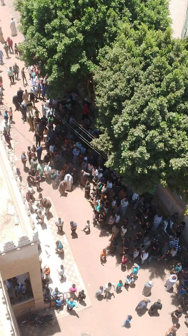 المنوفية