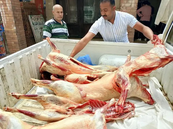 تموين مطروح 