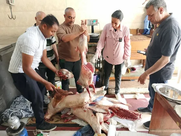 تموين مطروح 