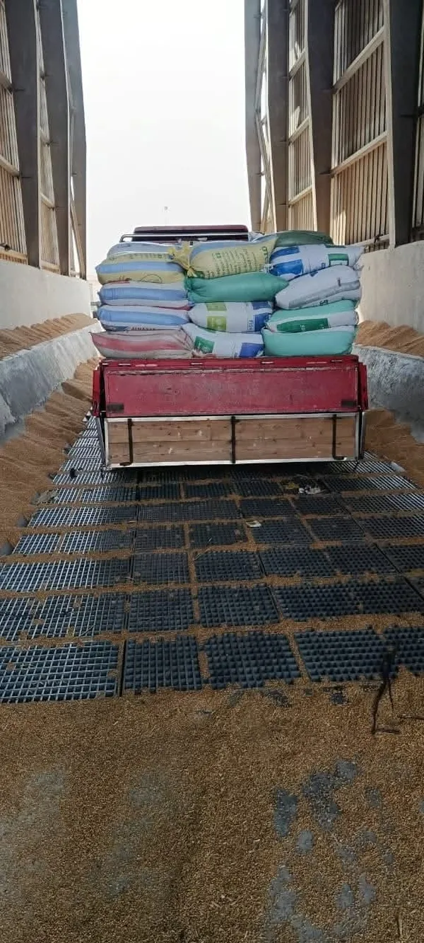 تموين مطروح 