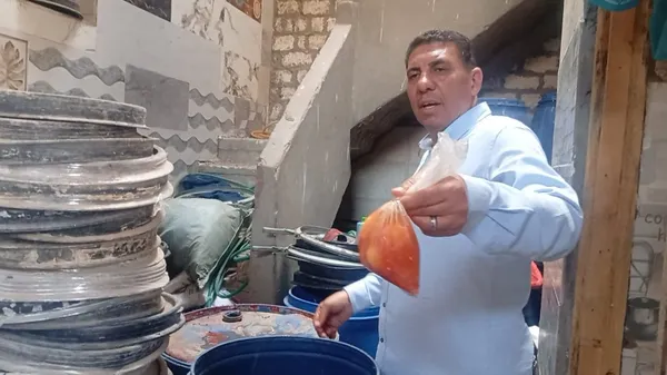جانب من الحملة