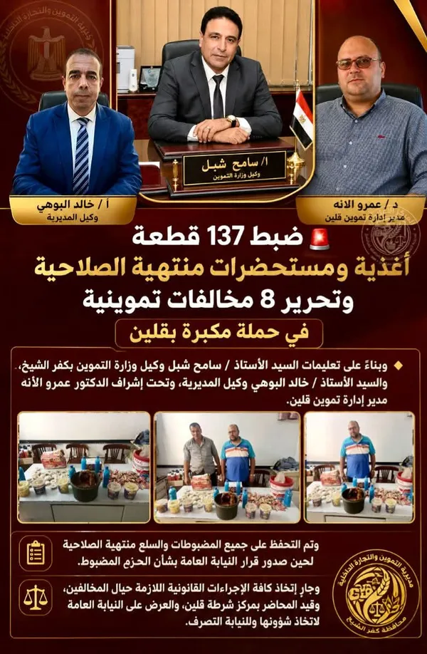 ضبط 137 قطعة أغذية ومستحضرات منتهية الصلاحية في حملة مكبرة بقلين