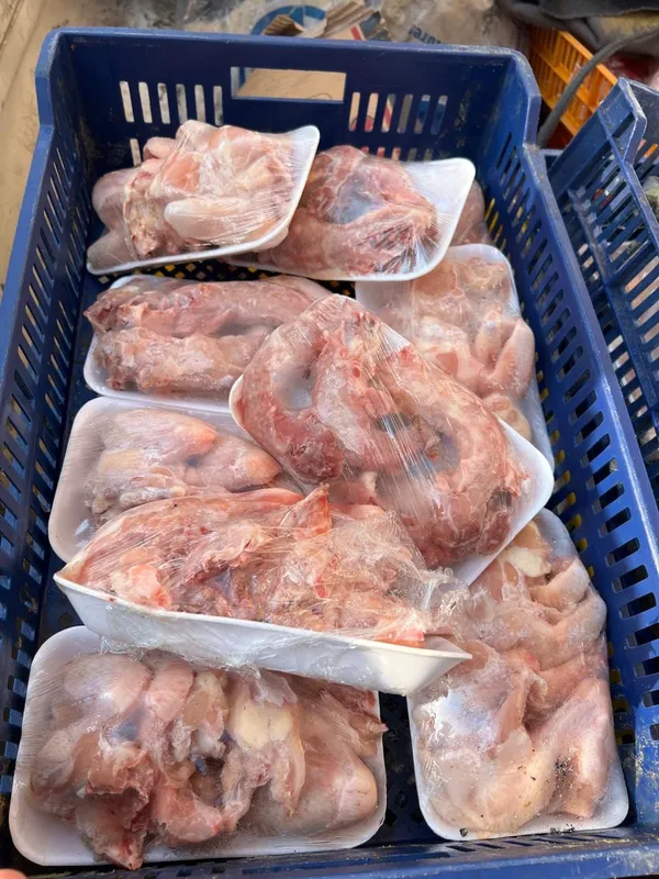 ضبوطات 