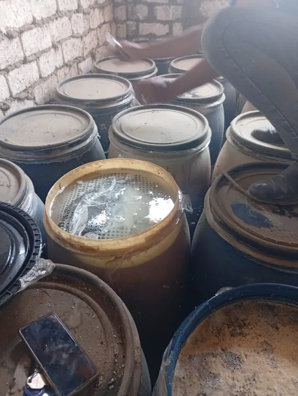 ضبوطات المنوفية 
