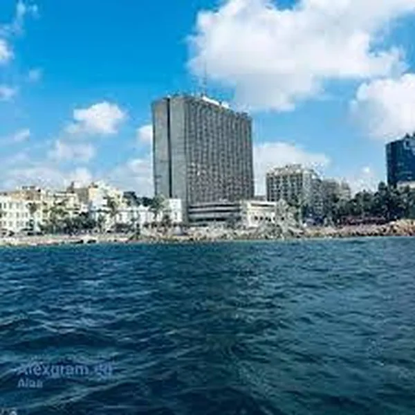 قصر القطن