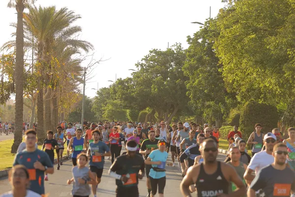 مدينتي