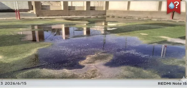 مركز شباب بنى قاسم 