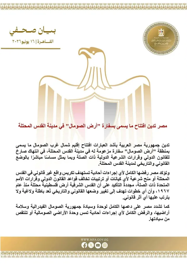 مصر تدين 