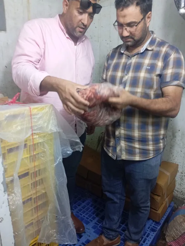 المنوفية 