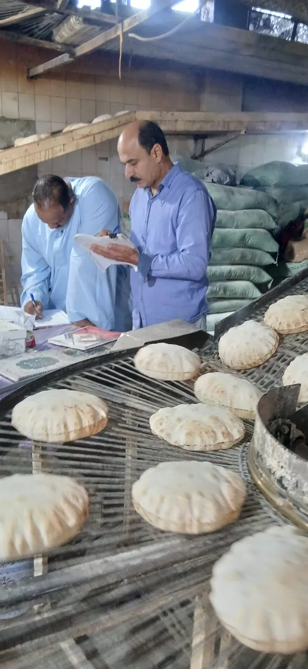 المنوفية