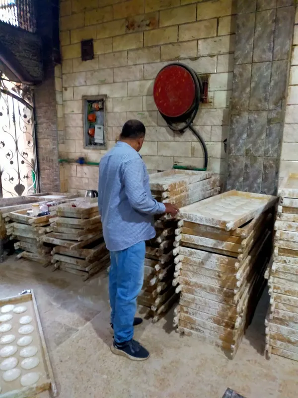 المنوفية