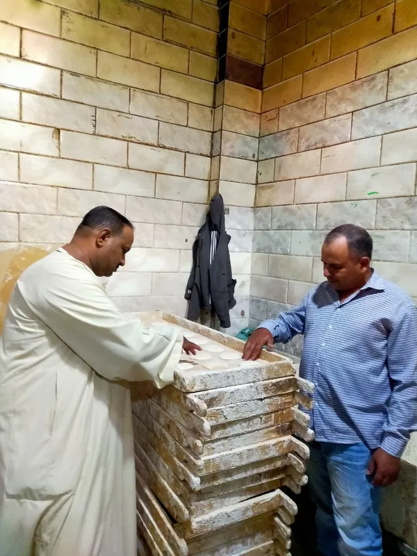 المنوفية