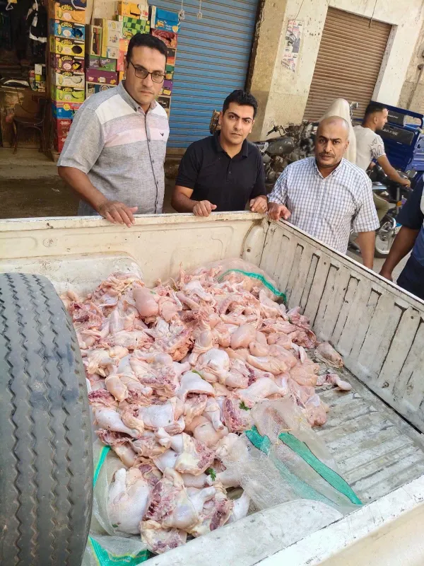 المنوفية 