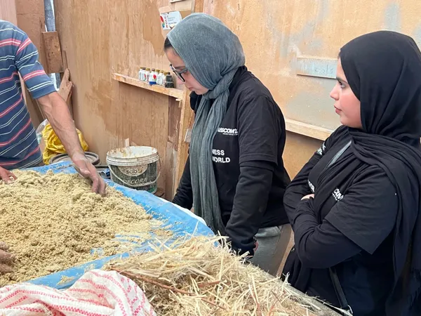 جامعة مدينة السادات 