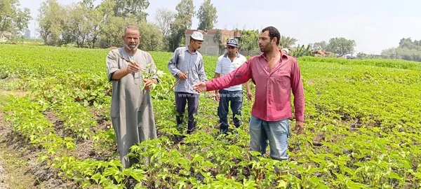 شكوى مزارعين من تضرر 10 أفدنة بسبب ارتفاع منسوب الصرف المغطى 