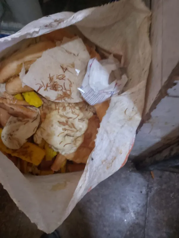  ضبط مخبز «فينو» بحي الزهور يعج بالحشرات ويستخدم تموراً مجهولة المصدر  ببورسعيد