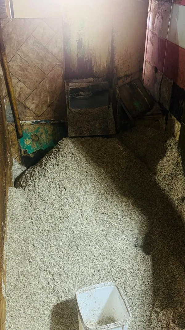ضبوطات 