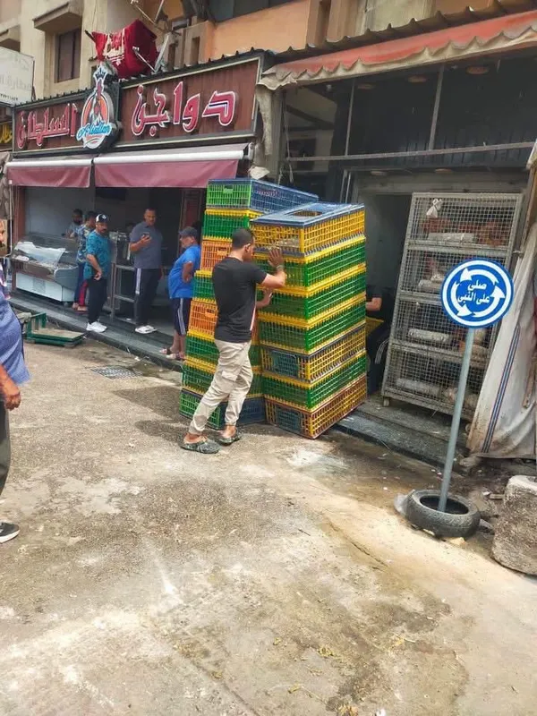 محافظة بورسعيد… إشغال الأرصفة يجبر المواطنين على السير في نهر الطريق ويعرض حياتهم للخطر