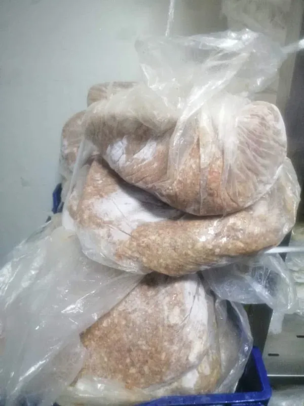 مديرية الشؤون الصحية ببورسعيد تقوم بضبط وإعدام أغذية ومشروبات غير صالحة وتحرير 67 محضرًا خلال يونيو