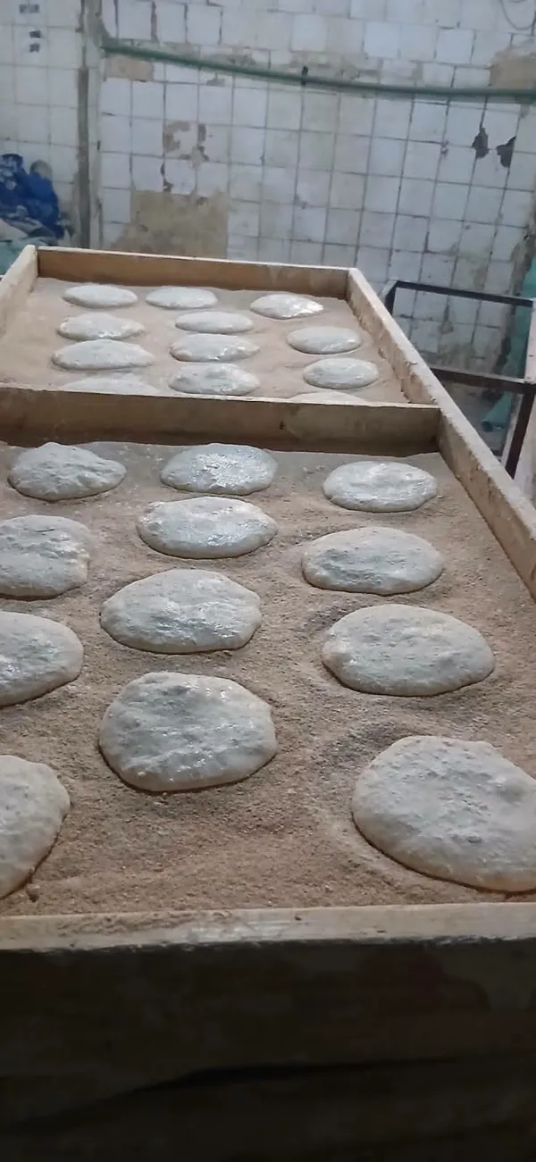 المنوفية 