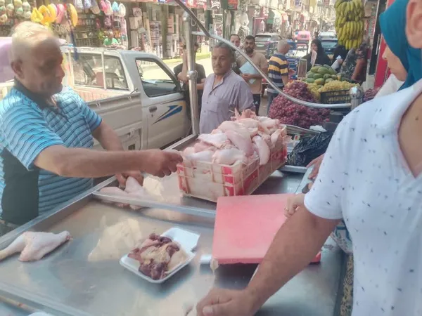 المنوفية 