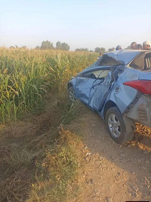 المنوفية 