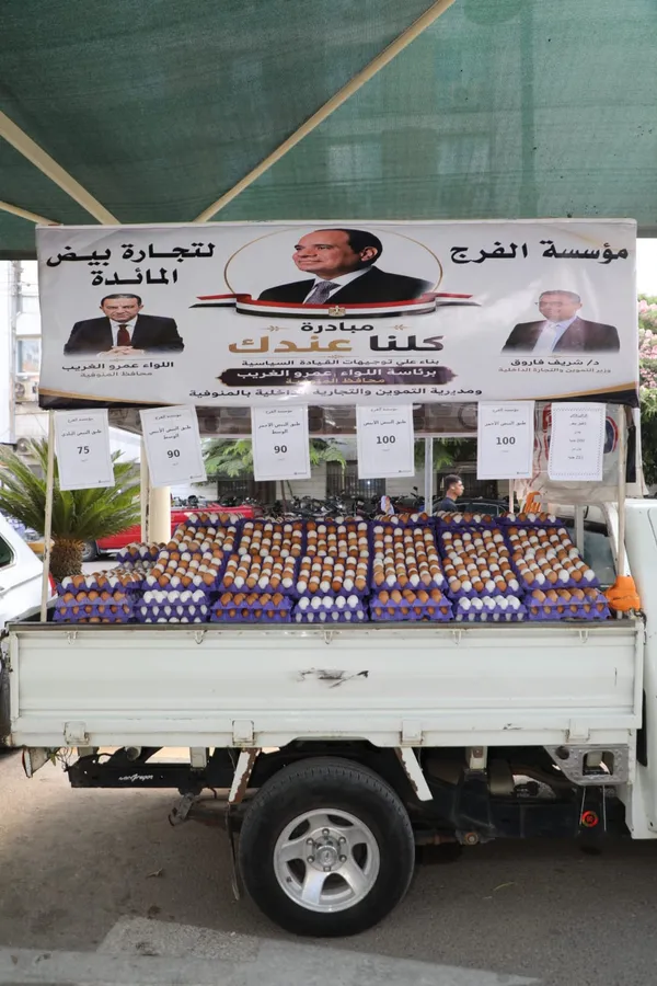 المنوفية