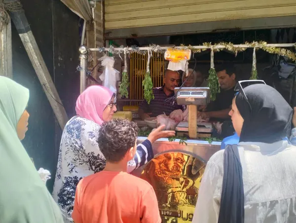 المنوفية