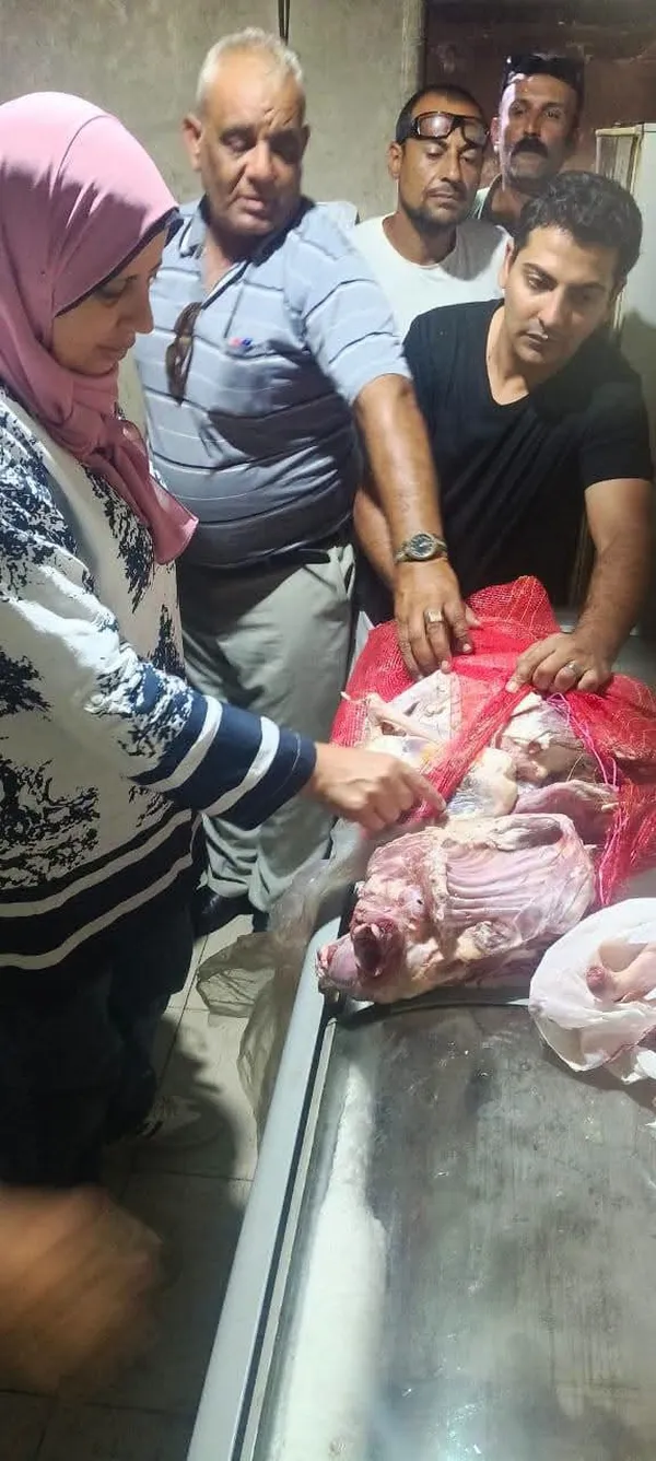المنوفية