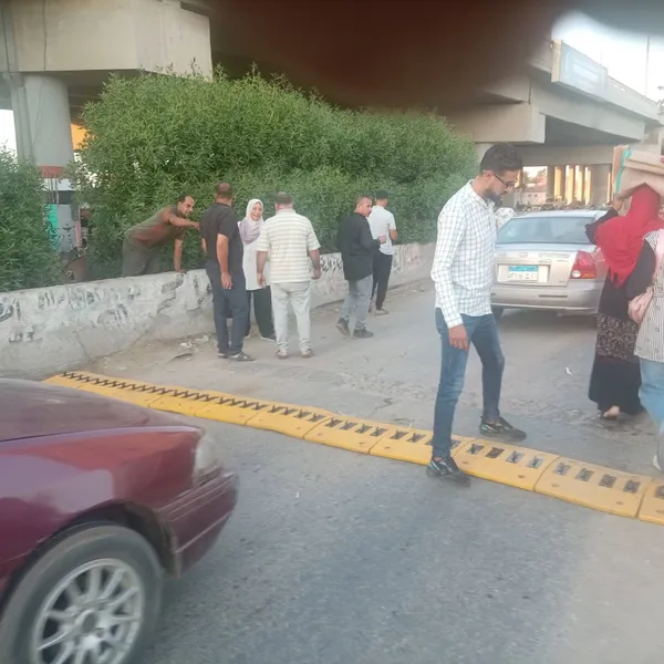 المنوفية 