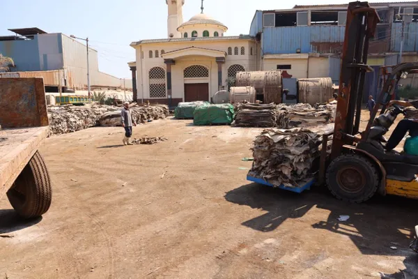 المنوفية 