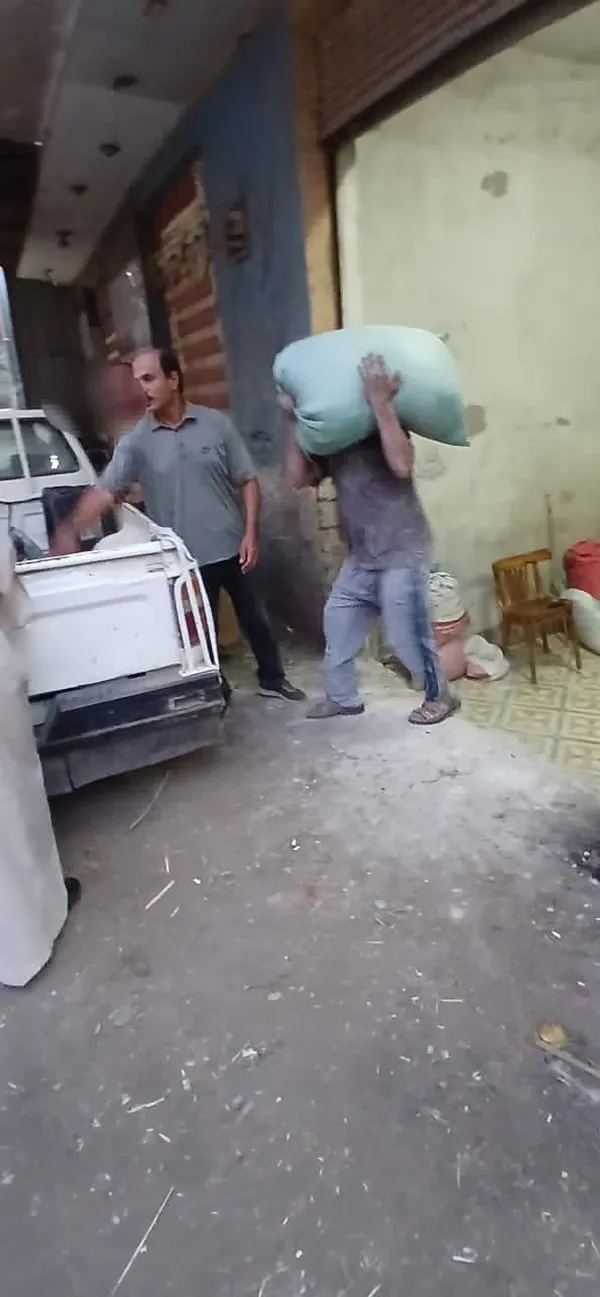 المنوفية 