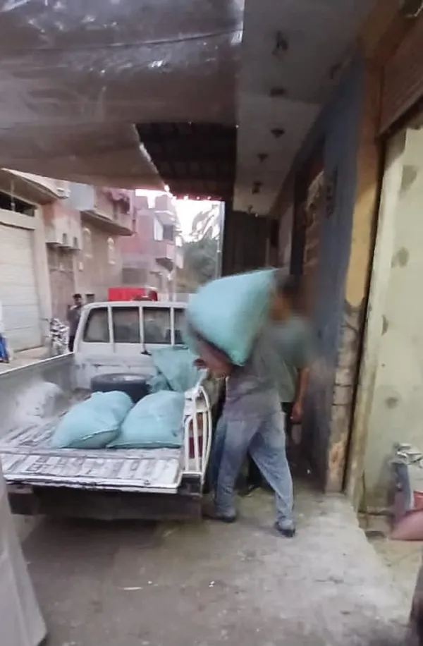 المنوفية 