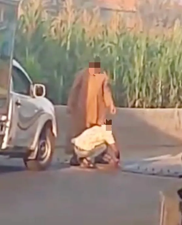 المنوفية 