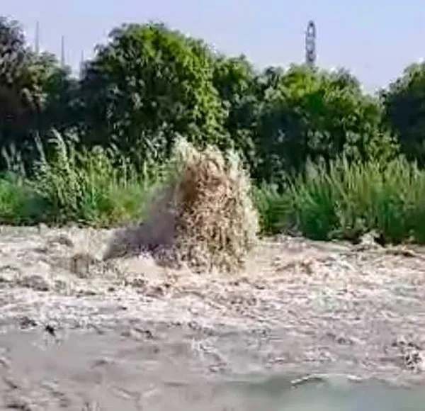 بيان صادر من محافظة الإسماعيلية 