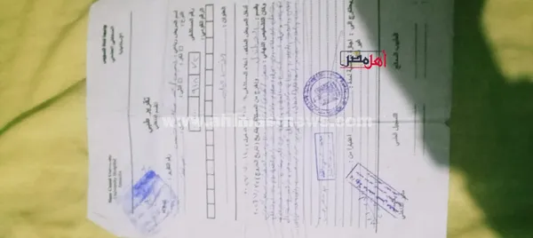 تقارير حالة الطفل 