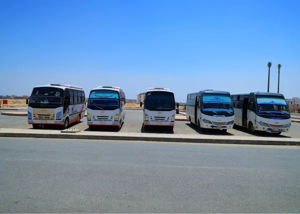 جامعة مدينة السادات 