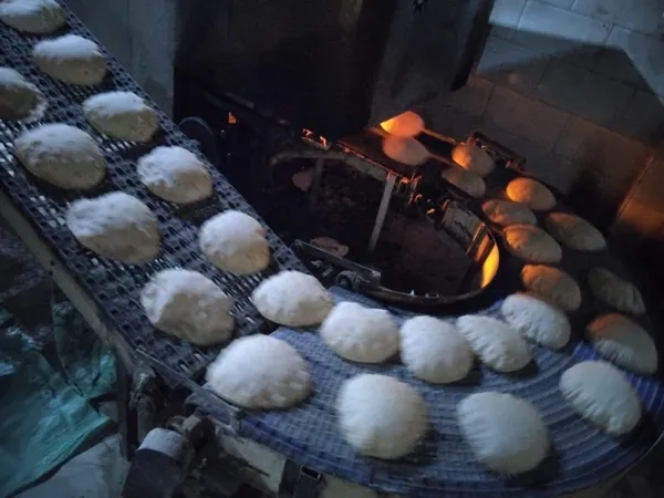 جانب من الحملة 