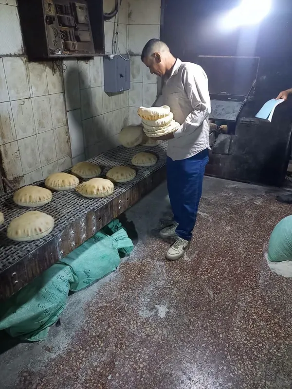 جانب من الحملة 