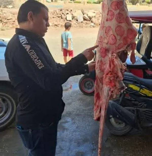 جانب من الحملة 