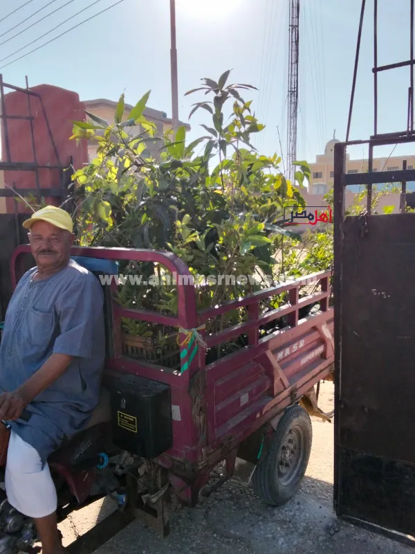 جانب من المبادرة