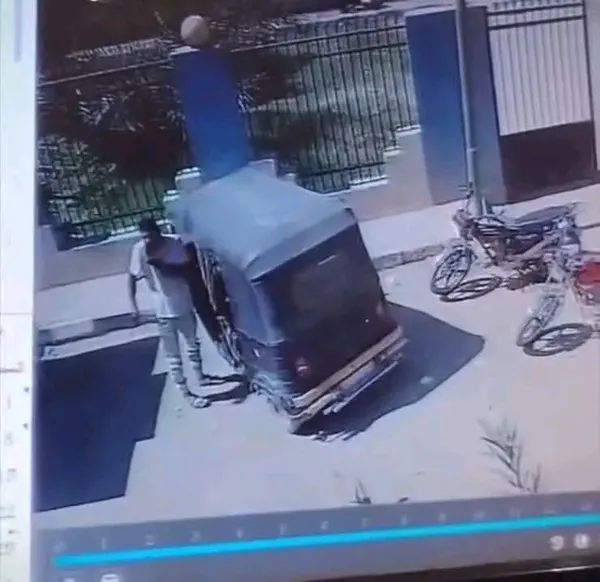 صور من الفيديو المتداول 