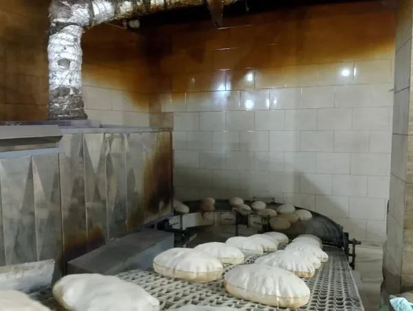 ضبوطات