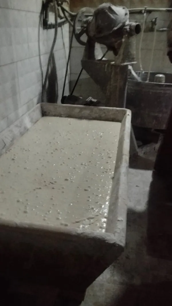 المنوفية 