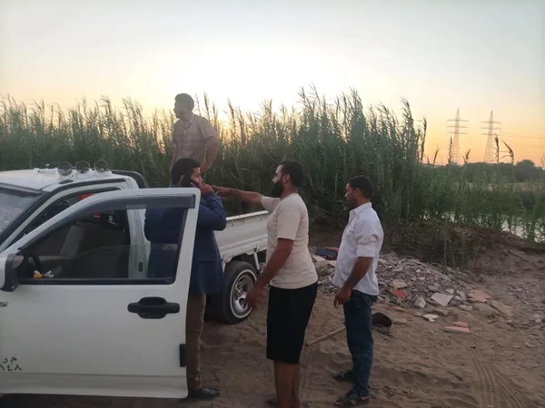 المنوفية 