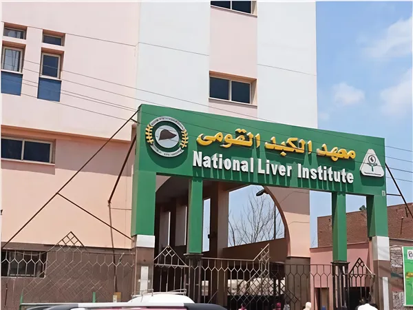 المنوفية 