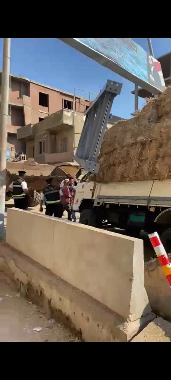 المنوفية 