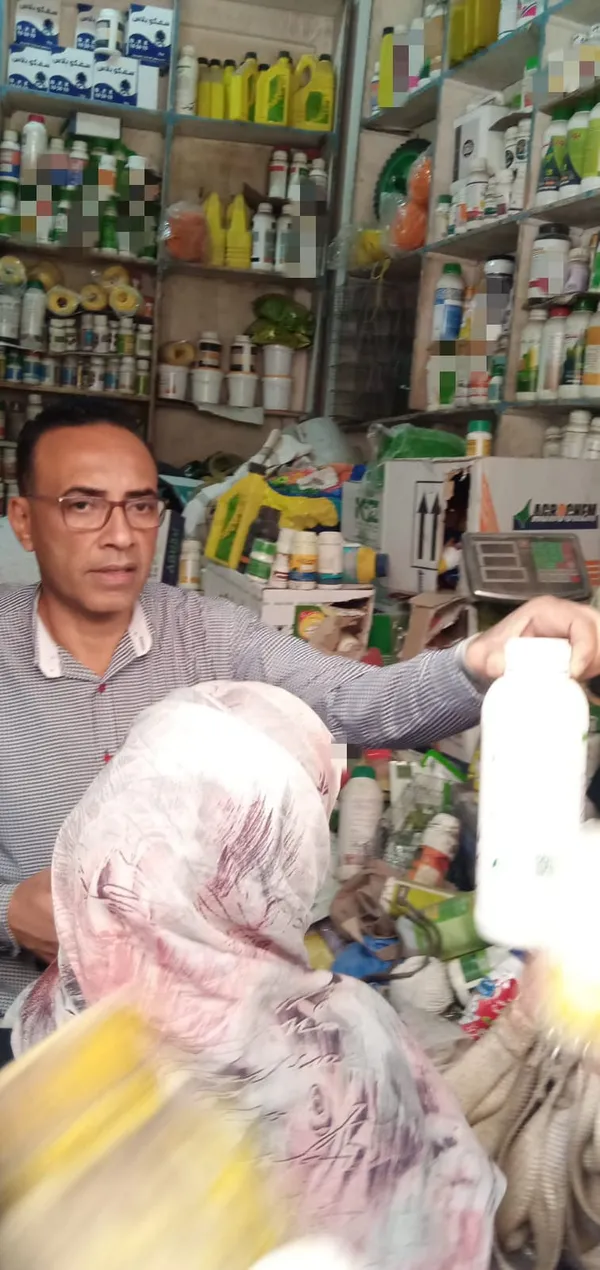 المنوفية 