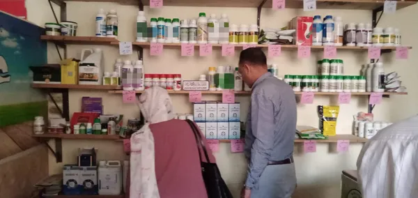 المنوفية 