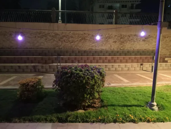 اليوم العالمي للزهايمر بالممشى ببنى سويف 